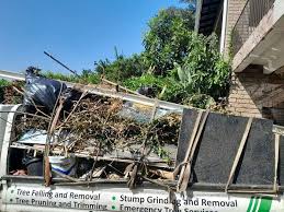 Best Commercial Junk Removal  in Mledgevle, IL